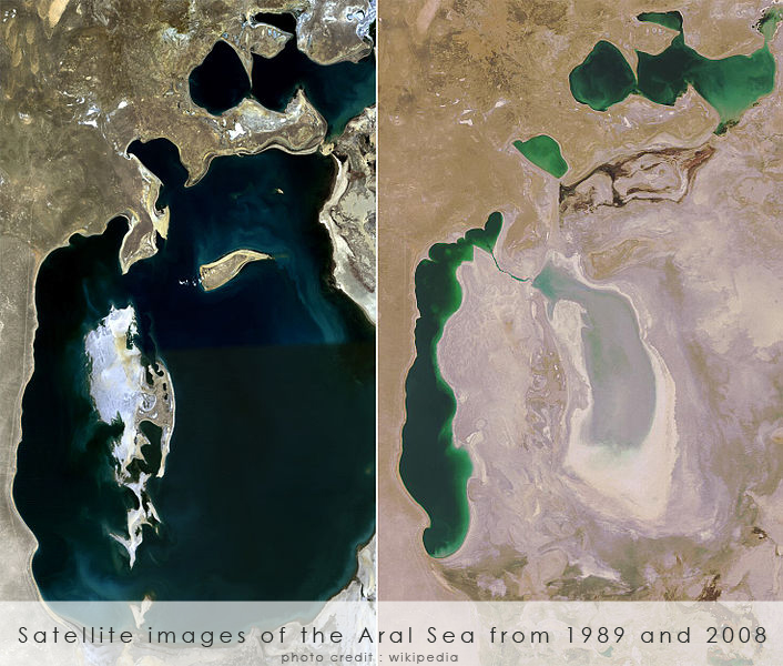 7 Things I Learned About Running A Business From the Aral Sea Disaster