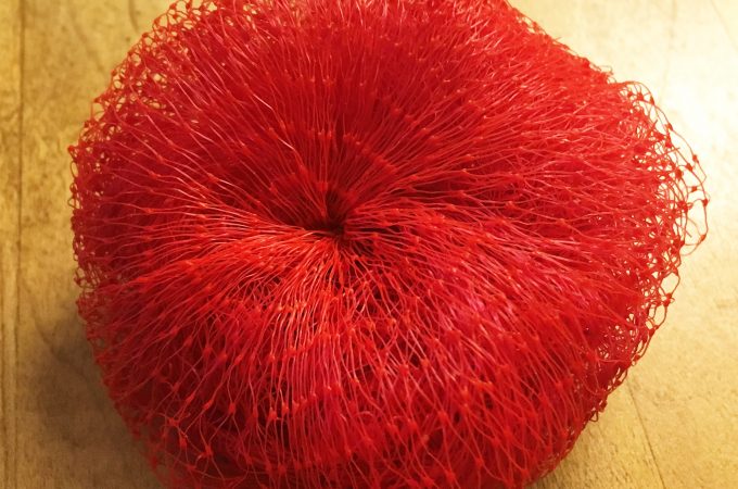 Onion Bag Dish Scrubby