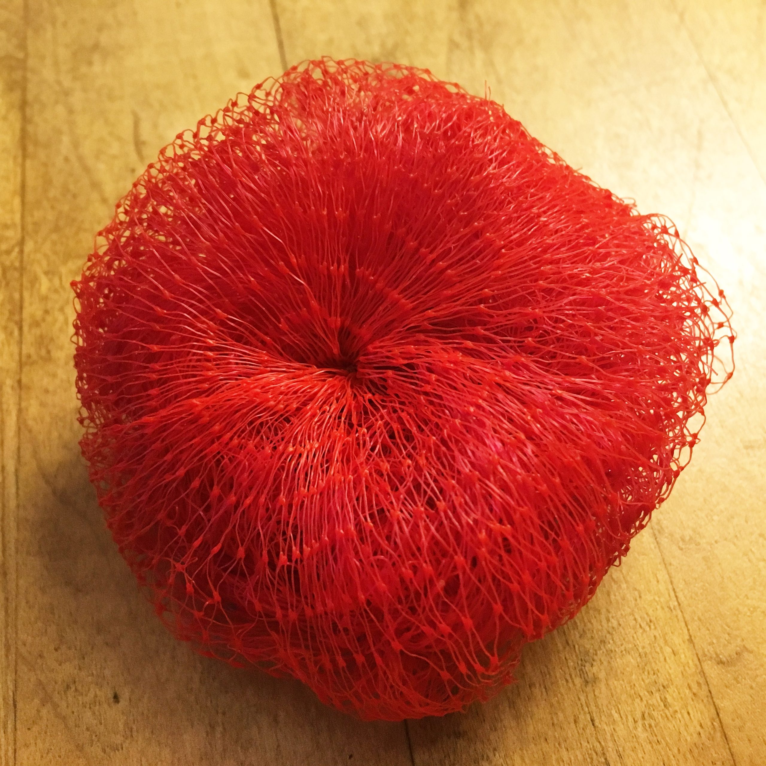 Onion Bag Dish Scrubby