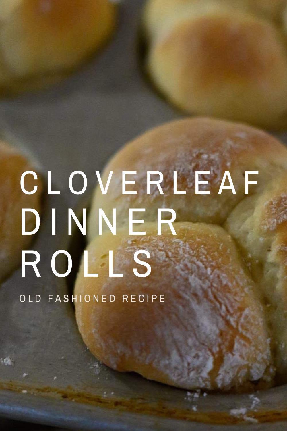 Recipe: Cloverleaf Dinner Rolls